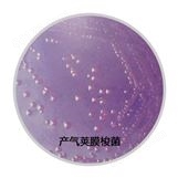 梭菌显色培养基