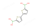 2,2-Bi噻吩-5,5-二硼酸胺189358-30-3