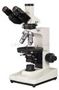 透射偏光显微镜